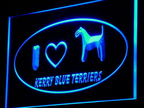 Love Kerry Bull Terrier Dog Pet Neon Light Sign